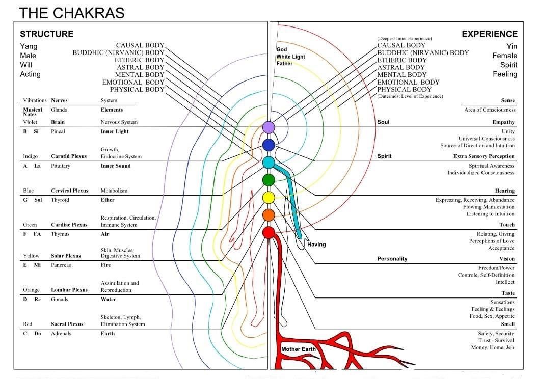 Les chakras Les chakras