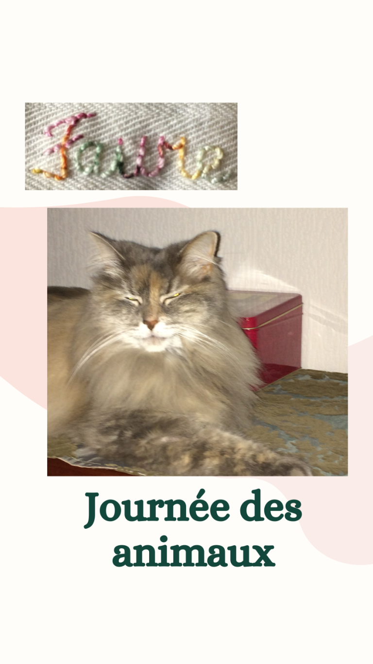 Journée des animaux