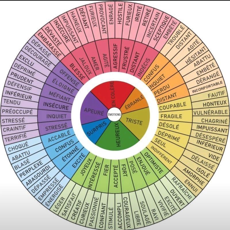 La roue des émotions détaillées