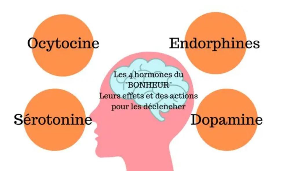 Comment la relaxation agit sur la dépression en stimulant les hormones du bonheur : endorphines, sérotonine, dopamine et ocytocine
